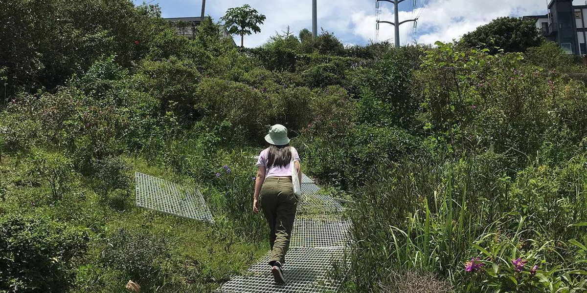 Bangsar kebun kebun Kebun Kebun