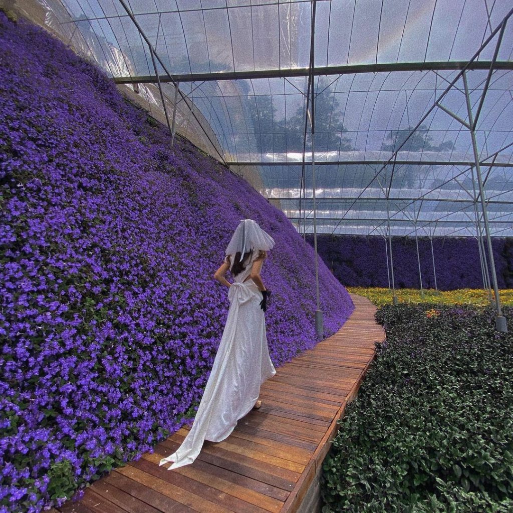 @ch_flora_park